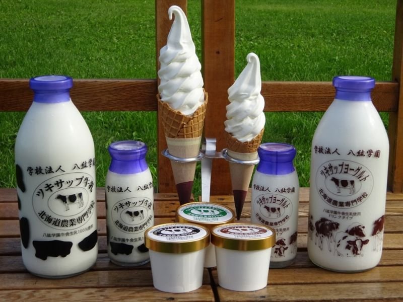 Hokkaido dairy products: milk, ice cream, soft serve